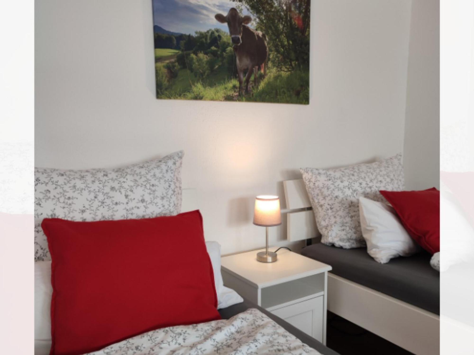 Ferienwohnung Trifts | Einzelbetten | Parkplatz Wangen im Allgaeu Ngoại thất bức ảnh